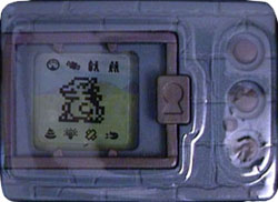 Digimon